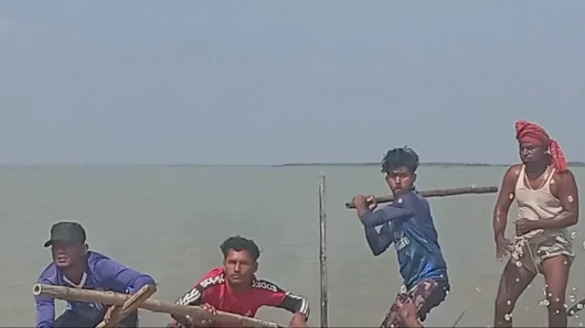 মা ইলিশ রক্ষায় বরিশালের জেলেরা যে কারণে বেশি আক্রমণাত্মক