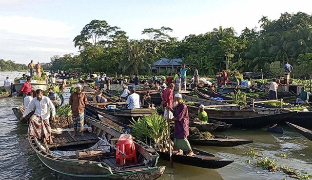 পিরোজপুরের নাজিরপুরে বেলুয়া নদীতে বৈঠাকাটার ভাসমান সবজির হাট