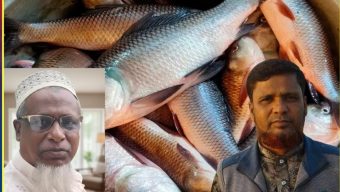 কর্তারহাট সাব-সেন্টারের পুকুরে অবৈধভাবে মাছ ধরার অভিযোগ
