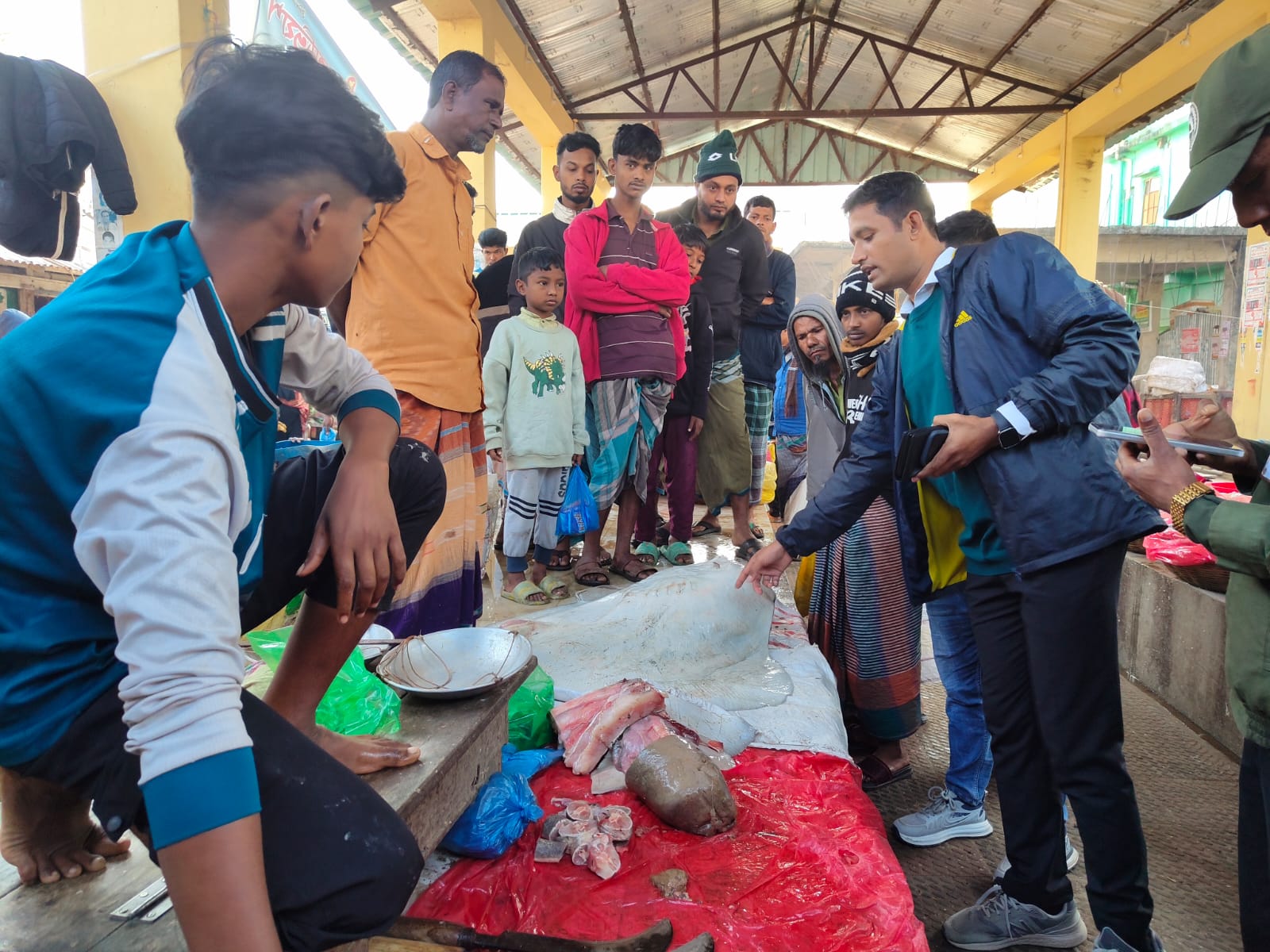 পিরোজপুরে বিলুপ্ত প্রায় নিষিদ্ধ শাপলা পাতা মাছ বিক্রির অভিযোগে তিনজনকে জরিমানা