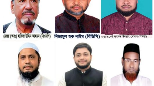 ভোলা-৩ আসনে নির্বাচনী প্রচারনায় জমে উঠছে নবীন প্রবীণের লড়াই