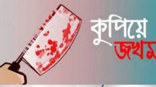 পিরোজপুরে বিএনপির ২ নেতাকে কুপিয়ে জখম