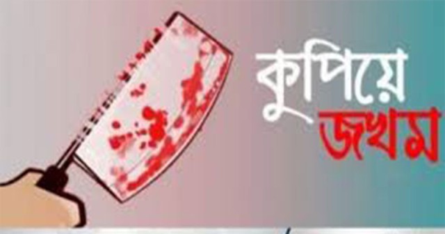 পিরোজপুরে বিএনপির ২ নেতাকে কুপিয়ে জখম