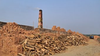 লালমোহনে ইটভাটায় জ্বালানি কাঠ পোড়ানোর অভিযোগে ২০ হাজার টাকা অর্থদন্ড