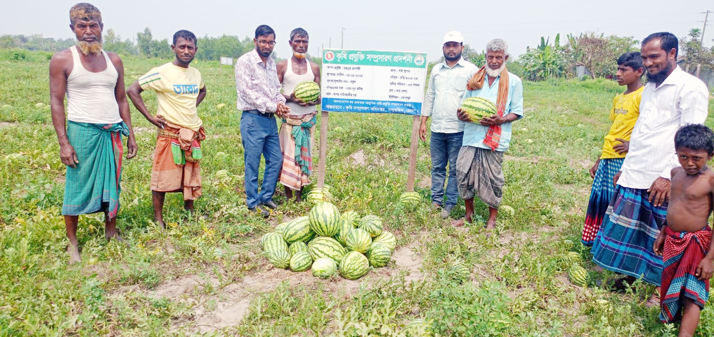 তজুমদ্দিনে কৃষি অফিসের পরামর্শে পতিত জমিতে তরমুজের বাম্পার ফলন