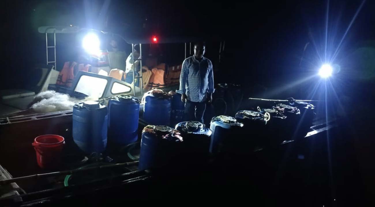 মেঘনায় সাড়ে ৫ লাখ গলদা চিংড়ির পোনা জব্দ, ৩৫ জেলের জরিমানা