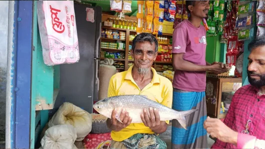 পায়রা নদীতে ধরা পড়ল ২ কেজির ইলিশ