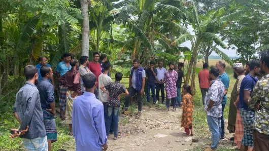 পিরোজপুরে দুই মরদেহ উদ্ধার