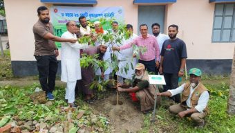 আমতলীতে বৃক্ষরোপণ কর্মসূচীর উদ্বোধন