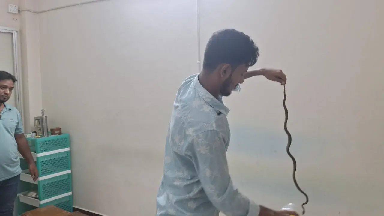 বরিশালে ক্লিনিকের এসির ভেতর থেকে কালনাগিনী সাপ উদ্ধার
