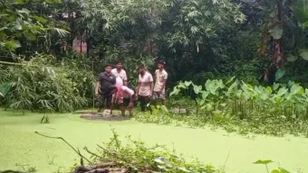 বরিশালে নিখোঁজের পর ডোবা থেকে বৃদ্ধের মরদেহ উদ্ধার