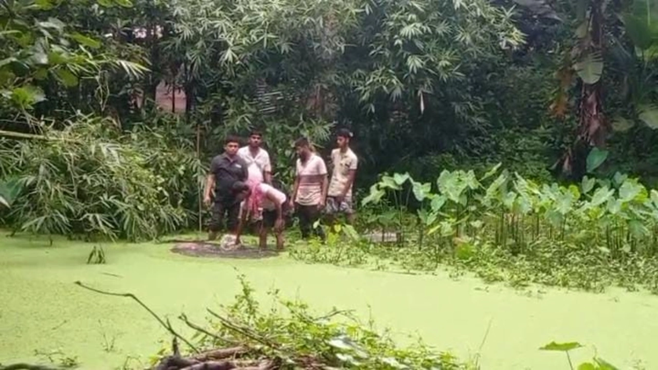 বরিশালে নিখোঁজের পর ডোবা থেকে বৃদ্ধের মরদেহ উদ্ধার
