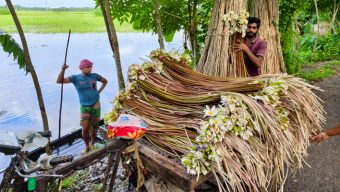 বরিশালে বর্ষার পানিতে ফুটে ওঠে জীবিকার ফুল