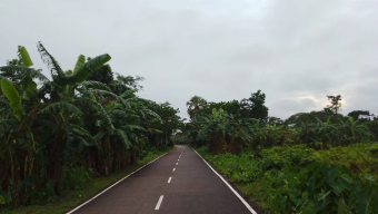 ঝালকাঠি নতুন কার্পেটিং সড়ক কেটে কালভার্ট নির্মাণ