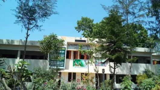 বরগুনায় বৃদ্ধাকে পিটিয়ে হত্যার অভিযোগ